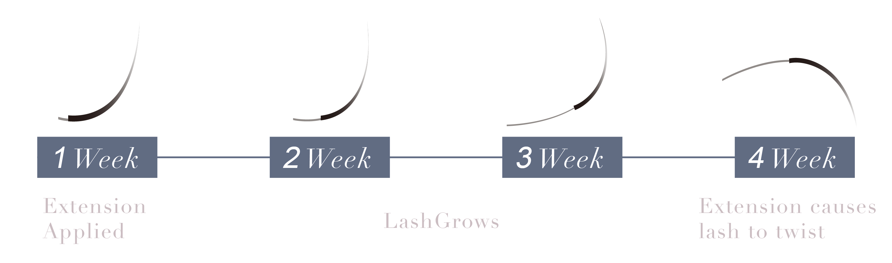 接睫毛是這樣生長與脫落的